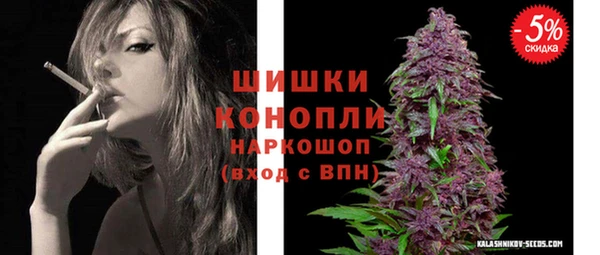 бошки Няндома