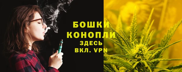 соль ск Новокубанск