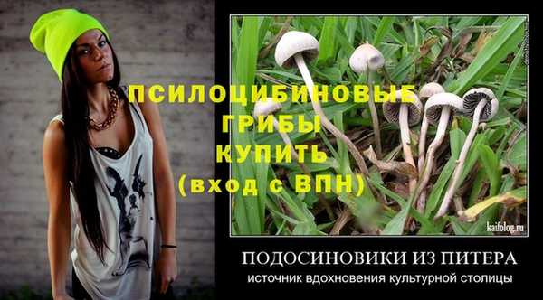 ALPHA PVP Фёдоровский