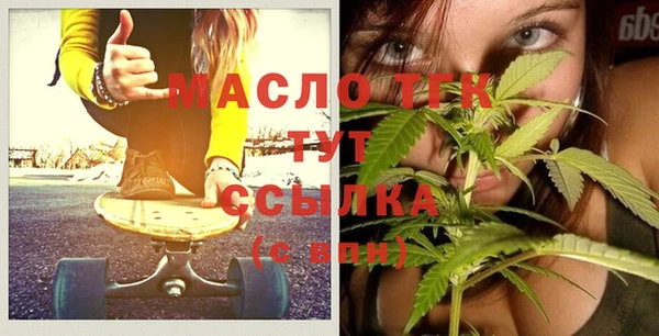 индика Санкт-Петербург