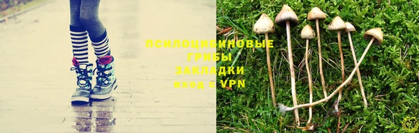 бошки Няндома