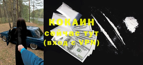 бошки Няндома