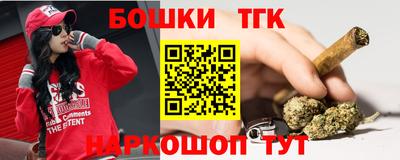 стаф Камышлов