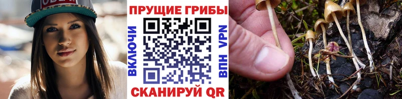 МЕГА зеркало  Мичуринск  Псилоцибиновые грибы прущие грибы 