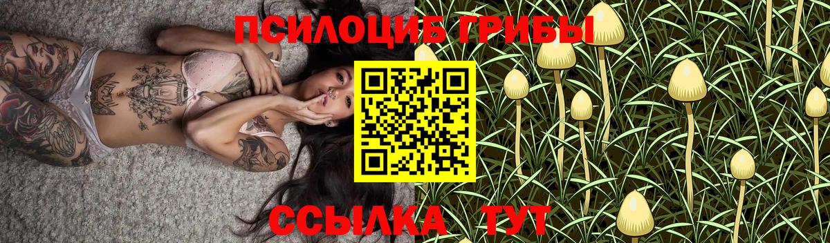 Мичуринск  Псилоцибиновые грибы мухоморы  Вход с VPN 