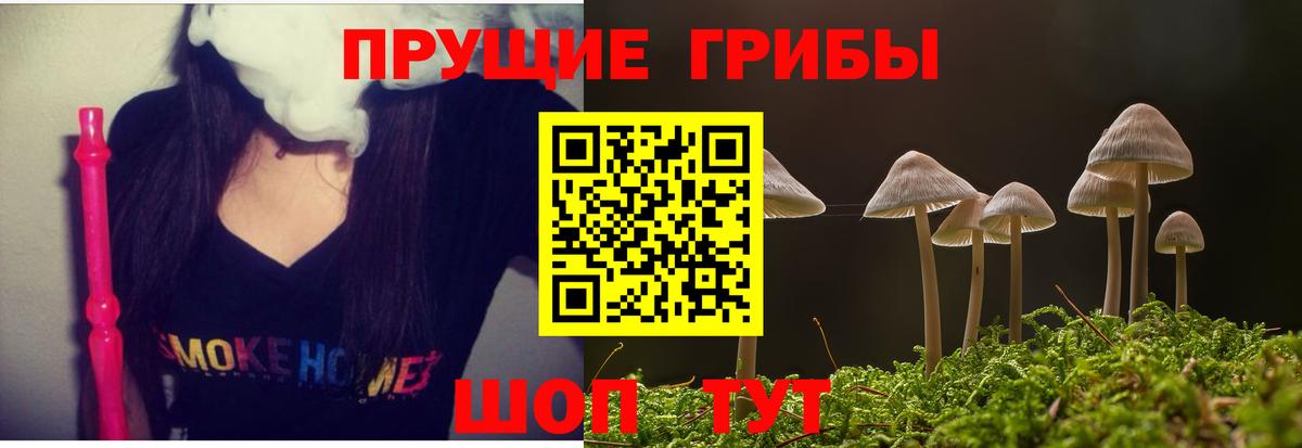 Псилоцибиновые грибы прущие грибы Мичуринск